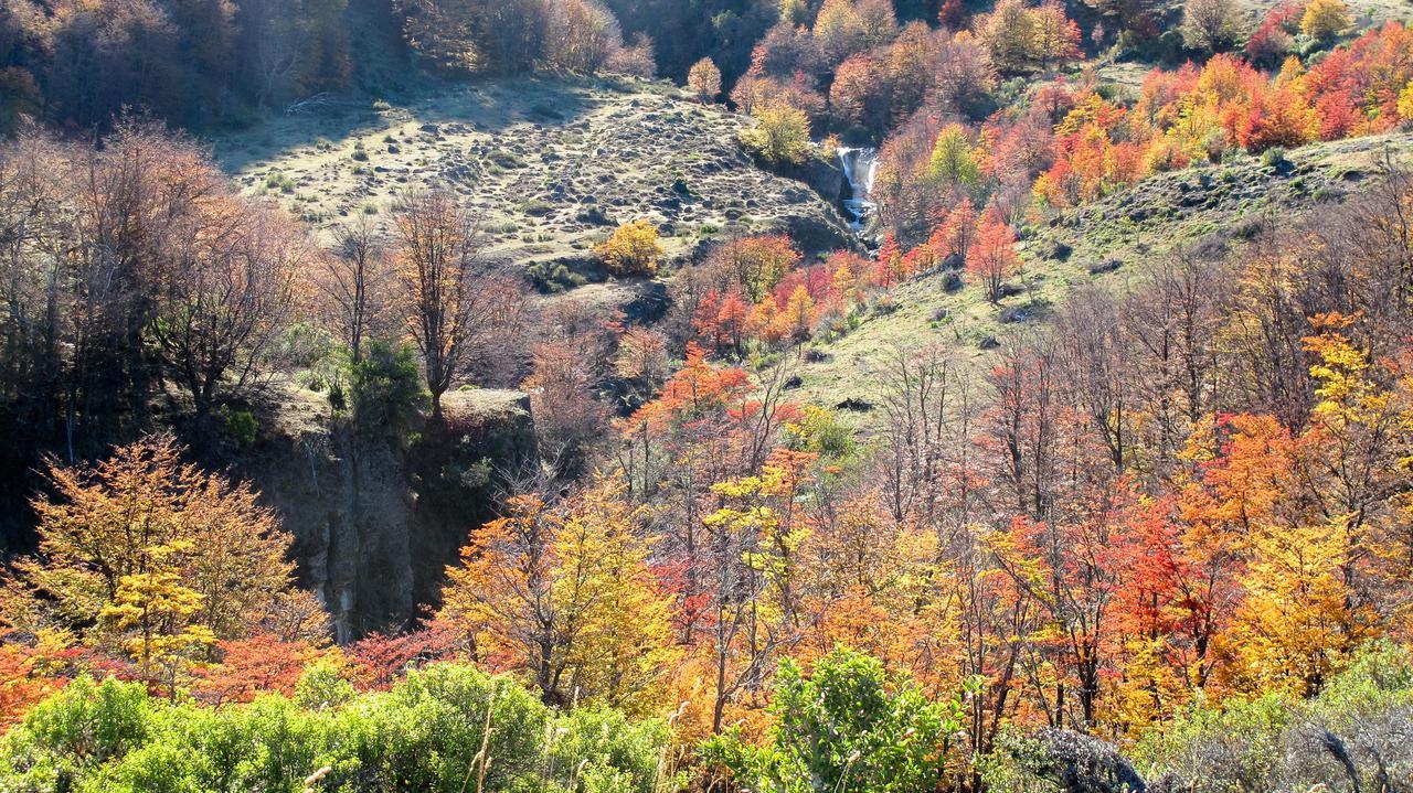 Casa Cerro Castillo Villa Cerro Castillo Dış mekan fotoğraf